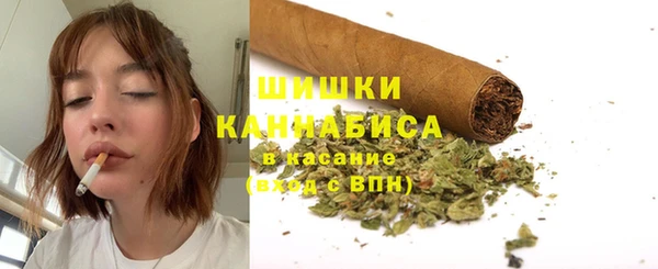 стафф Протвино