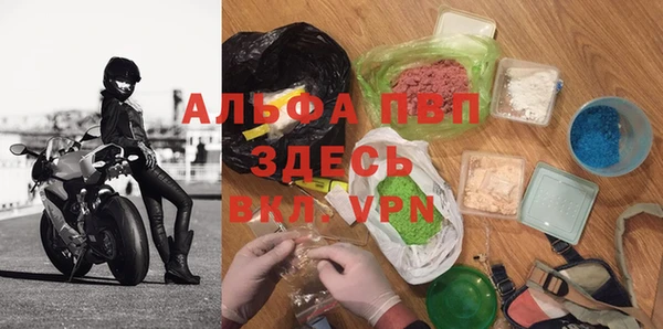 стафф Покачи
