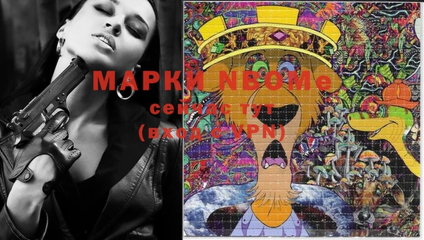 стафф Покачи