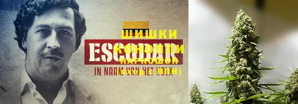 стафф Покачи