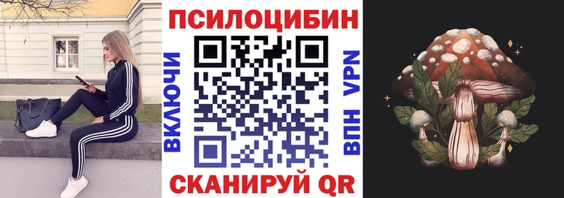 Псилоцибиновые грибы GOLDEN TEACHER  Туран 