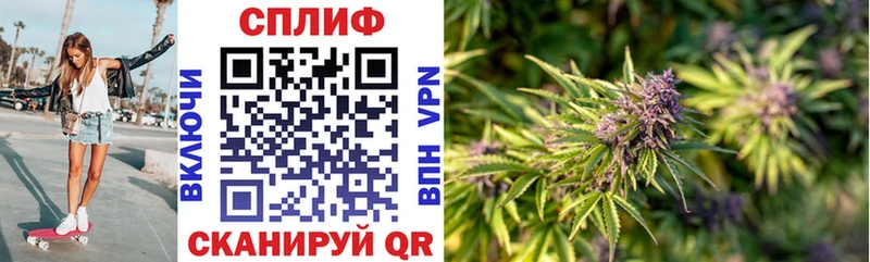 Каннабис гибрид Туран